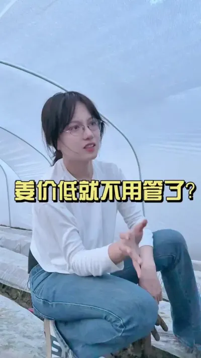 姜价低姜就不用管了？#新农人计划2025 #抖音助农扶农 #大姜种植 #乡村生活家 #来抖音学农技