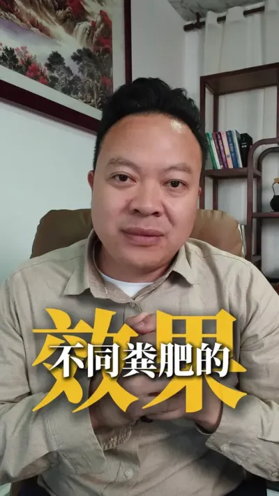 鸡粪、羊粪、牛粪、马粪等各种粪肥的效果对比，它们的差异在哪里，怎么用最合理？#粪肥 #鸡粪 #有机肥