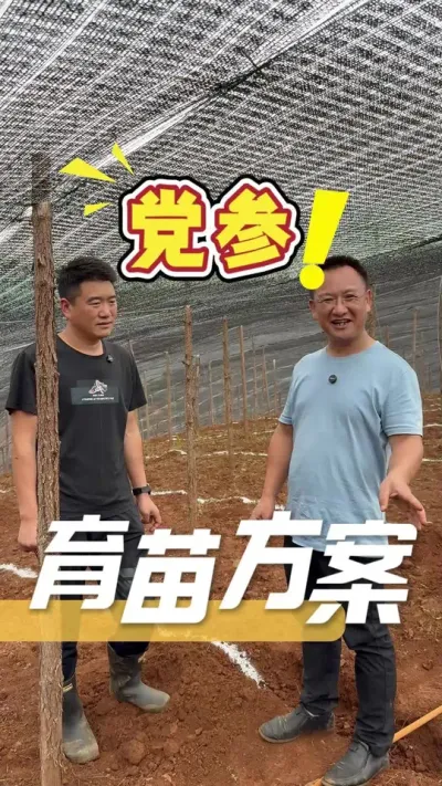 如果您想要一套完整的育苗管理方案，不妨使用我们的390方案试试看，为您的作物管理全周期保驾护航。 #党参 #农业种植 #种植管理 #农业技术推广