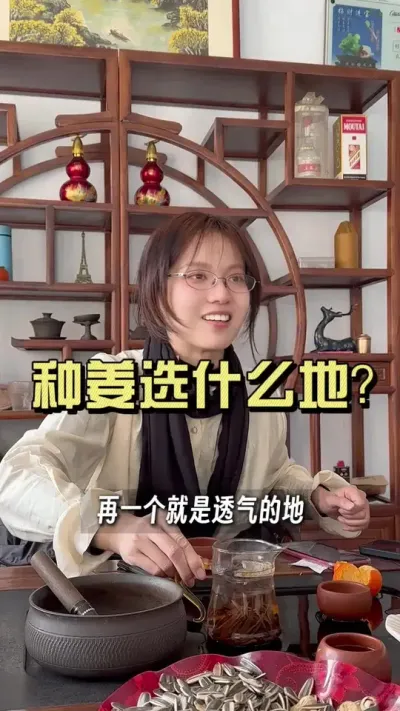 种姜选什么地？#乡村生活家 #抖音助农扶农 #新农人计划2025 #来抖音学农技 #大姜种植