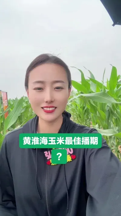 玉米最佳播期？ 抢垧种更合理，要不就播完下雨！#三农 #支持三农扶持三农发展 #农业种植 #抖音助农 #弘麦360