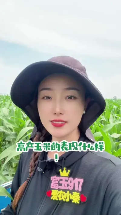玉米高产的基础表现 富玉917，玉米轰炸机#抖音助农 #三农 #富玉917 #玉米