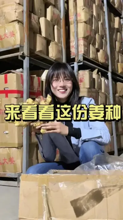 喜欢大姜种的看过来！纯生茬地没毛病的大胖姜，都是咱自己劳务干的，干净出成高，欢迎来挑箱！#新农人计划2024 #乡村生活家 #大姜种植 #来抖音学农技