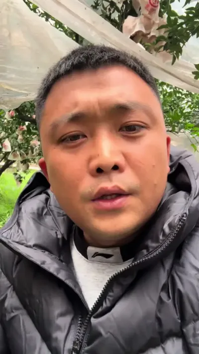 果农挣钱不容易，你们那些疯儿洞嘴上积点德#说点大实话 #主打的就是一个真实 #关注我每天为你分享更多农业知识 #果农不易