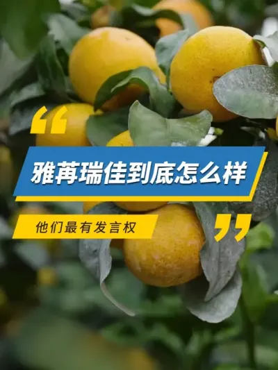 雅苒瑞佳到底怎么样，他们最有发言权 #雅苒国际 #肥料 #农业种植 #柑橘种植 #雅苒瑞佳