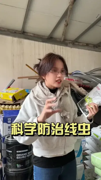 怎么科学高效预防线虫？#大姜种植 #抖音助农扶农 #乡村生活家 #新农人计划2025