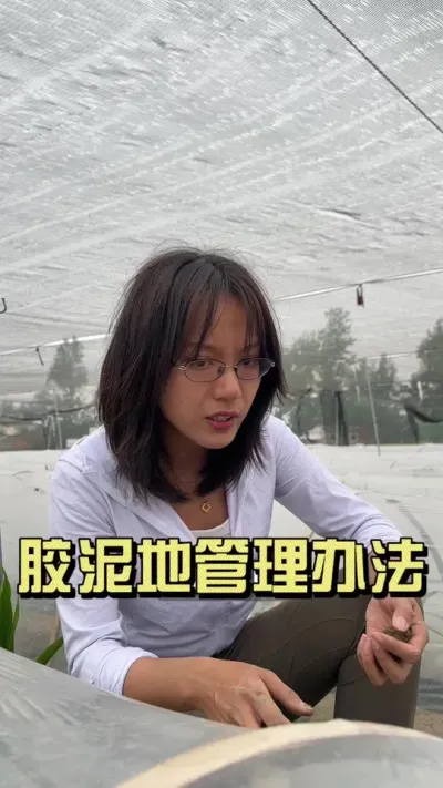 一块地一种管理办法，像这种胶泥地咱们应该怎么管理呢？#新农人计划2025 #乡村守护人 #大姜 #来抖音学农技