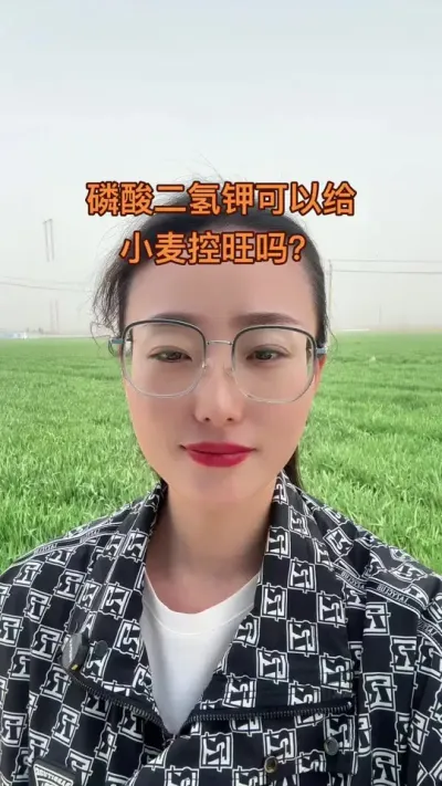 磷酸二氢钾能控旺吗？ 磷酸二氢钾是肥不是控旺药，还请大家不要再把它用在控旺上#三农 #抖音助农 #分享农业知识帮农民增产增收 #服务三农支持三农 #磷酸二氢钾的作用与用途