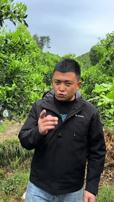 强行座果#农业种植 #三农 #果树管理 #知识分享