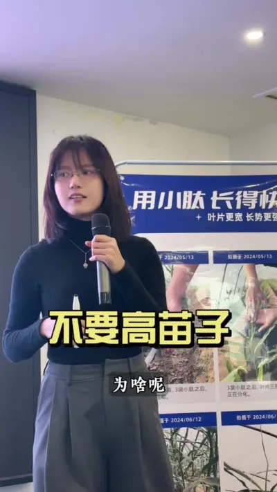 苗子高下面的姜就长得大吗？其实是&hellip;&hellip;#大姜种植 #乡村生活家 #新农人计划2024 #来抖音学农技