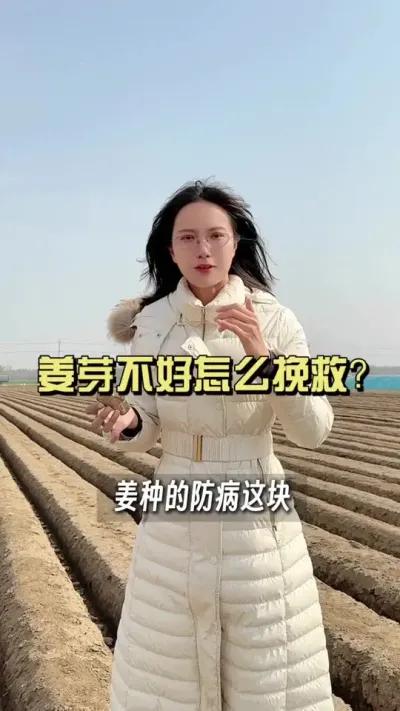 姜芽子没催好的、姜种差点事的，怎么补救？#大姜种植 #抖音助农扶农 #乡村生活家 #新农人计划2025