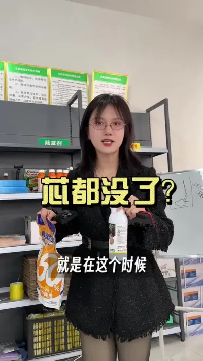 已经出叶了芯却不超过20公分？咋回事？#新农人计划2025 #来抖音学农技 #生姜种植 #抖音助农扶农