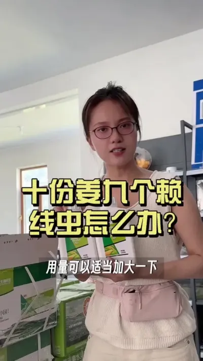现在找份好姜是太难了！十份姜九个赖，有的冲了药还是出现了赖皮，怎么办呢？#新农人计划2025 #乡村守护人 #大姜种植 #来抖音学农技