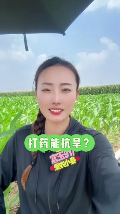 打药能抗旱？ 擦亮眼睛看人，做事儿要凭良心#抗旱神器 #三农 #抖音新农人 #三农知识 #富玉917