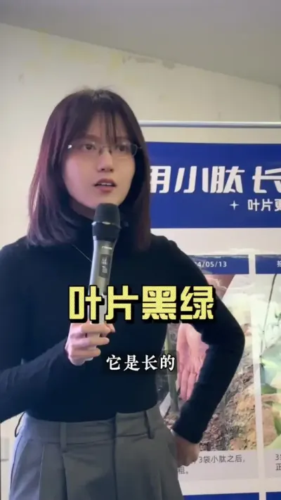 靠化肥和有机肥长出来的姜叶有什么不同？哪一种更好呢？#新农人计划2024 #乡村生活家 #大姜种植 #来抖音学农技