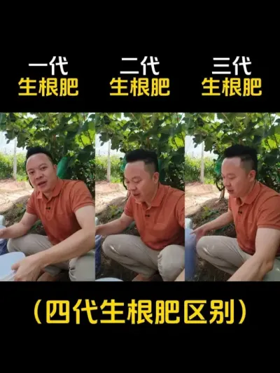 四代生根肥都经历了哪些改良，对我们的作物有什么帮助？ #生根壮苗 #促花保果 #膨果增甜 #傲脉有机水溶肥 #土壤改良