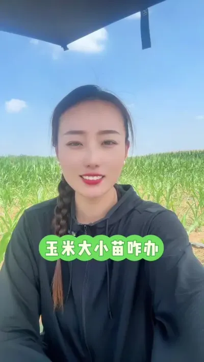 玉米大小苗 人无完人，地无完地，苗无完苗，放过自己放过它😆#原创视频 #玉米大小苗 #三农 #助农