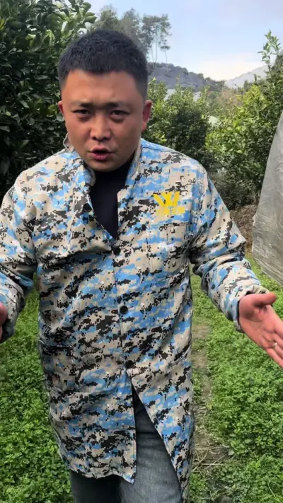柑橘清园和上春肥的时间节点来了#关注我每天为你分享更多农业知识 #柑橘种植 #果园管理 #果树施肥的综合管理方法