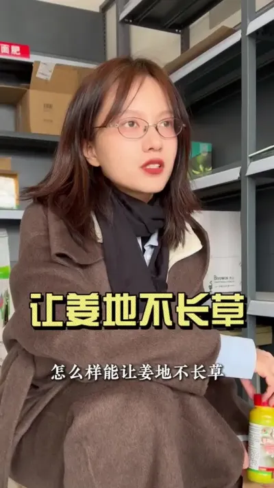 怎么样让姜地不长草？#抖音助农扶农 #乡村生活家 #大姜种植 #新农人计划2025