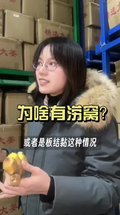 套餐方案是对生姜全周期种植管理理念的集中体现，每一套生姜种植方案背后，都是经过深思熟虑的管理体系，根据需求选择适合自己地块和区域的套餐&hellip;&hellip;#新农人计划2026 #来抖音学农技 #乡村守护人 #大姜种植