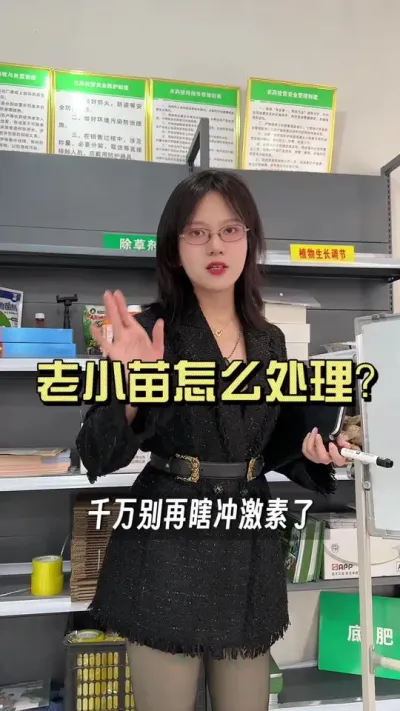 老小苗怎么处理？千万别再冲激素了！#抖音助农扶农 #大姜种植 #乡村生活家 #新农人计划2025