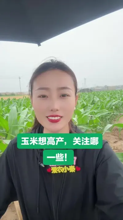 玉米想高产，什么是关键呢！ 预祝各位今年夏播，丰产丰收！#抖音助农 #农业技术 #玉米 #支持三农扶持三农发展