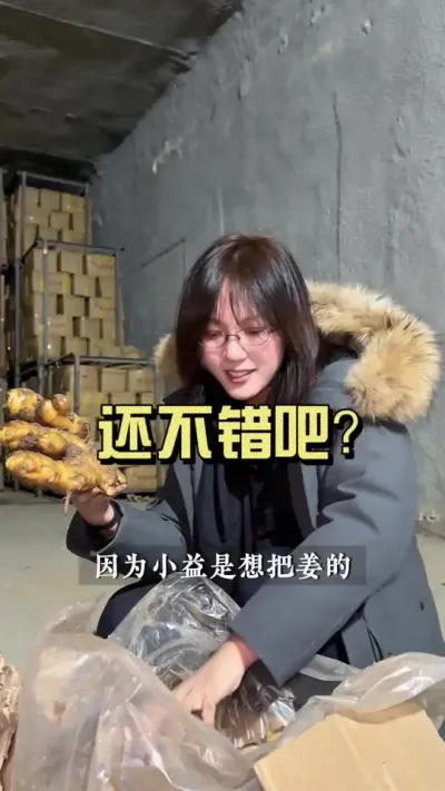 姜种还剩不多了，还没找到靠谱姜种的朋友，欢迎来挑。#抖音助农扶农 #乡村生活家 #新农人计划2025 #大姜种植