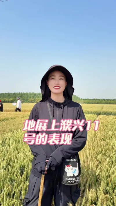 地展上的濮兴11号 第八届黄淮麦区小麦新品种地展会一共参展的有来自全国八个省，四百多个小麦品种，濮兴11号是专家组推荐的六十多个品种之一，濮兴11号是在21年就审定的品种，已经种植推广了四年，综合表现