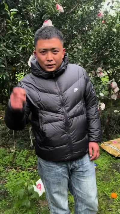 重视补充土壤有机质，降低化肥成本，才是未来的一个方向#三农 #柑橘种植