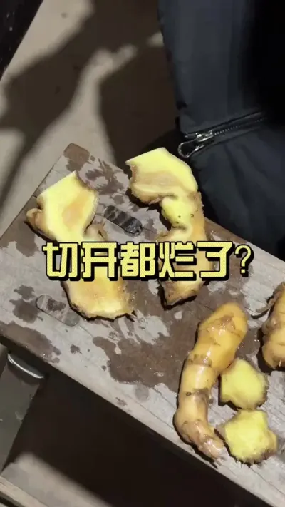 选姜种不能存在侥幸心里，看完你就知道了#生姜种植 #新农人计划2025 #来抖音学农技