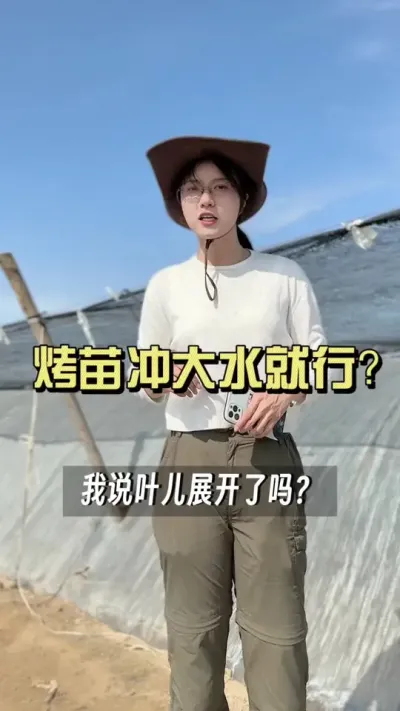 烤苗不用管，浇大水就行？#新农人计划2025 #来抖音学农技 #生姜种植 #抖音助农扶农