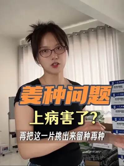 烂脖子是&ldquo;种传病害&rdquo;、&ldquo;土传病害&rdquo;。很多人现在地里零星发生的烂脖子，认为烂脖子是不传染。这种观念是错误的。因为现在的天气较为干旱，目前还不具备烂脖子爆发的环境条件。烂脖子爆发基本是从六月中下旬开始，而