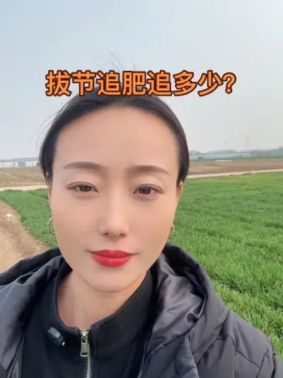 拔节追肥多少合适呢 肥料太多除了会造成小麦倒伏，还会造成土壤板结，每一份钱花在刀刃上，咱能省则省#抖音助农 #服务三农支持三农 #三农 #小麦 #分享农业知识帮农民增产增收