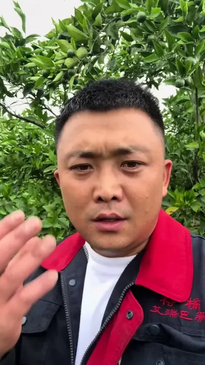 #三农 #柑橘种植