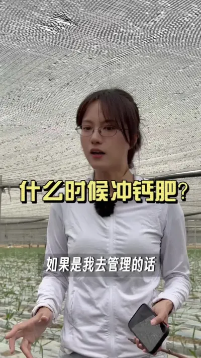 叶片边缘不规则，叶芯变细，咱们要尽早处理，别拖到芯软了烂了再去处理就晚了。#新农人计划2025 #乡村守护人 #来抖音学农技 #大姜种植