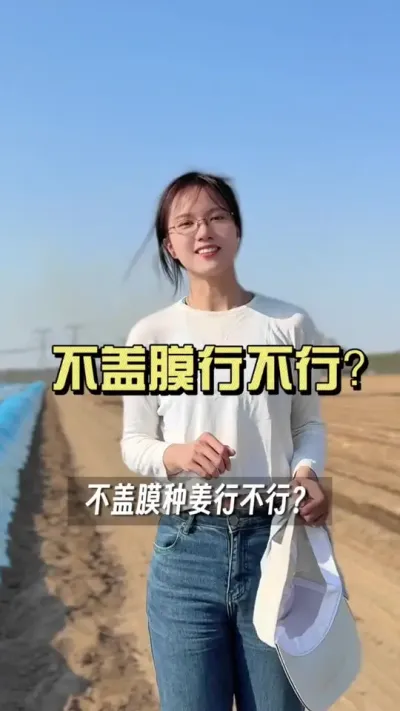 不盖膜种姜行不行呢？#大姜种植 #抖音助农扶农 #乡村生活家 #新农人计划2025 #来抖音学农枝