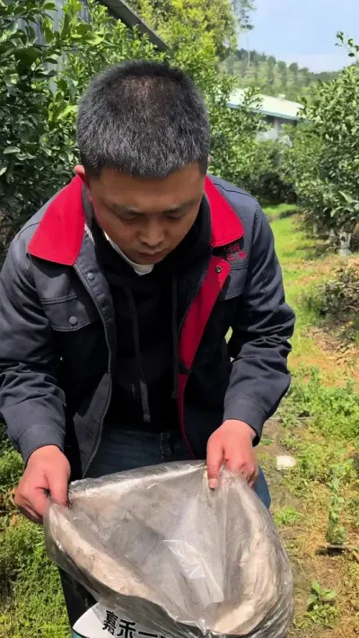 新疆矿源黄腐酸钾，促销活动来了#关注我每天分享农业植保知识 #好物推荐🔥 #三农 #矿源黄腐酸钾