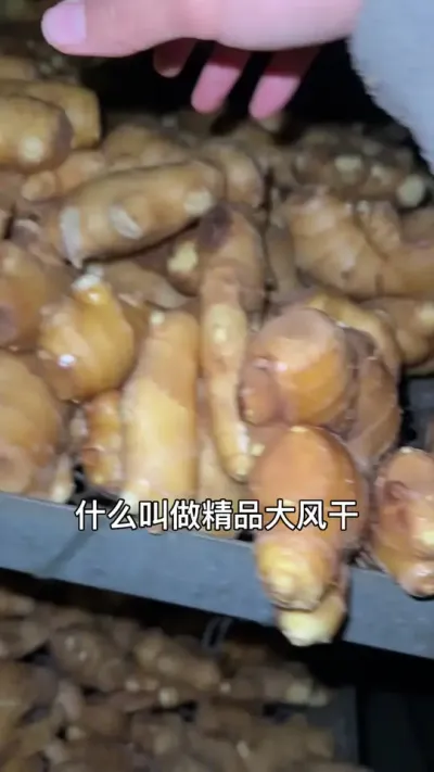 以25年生姜的种植面积和总产量基本是历史之最。但是水洗生姜的价格却是1.5-4.5，相当大的跨度。为什么会出现这种情况？因为渠道不同。 高端渠道无法消化质量差的货源，有毛病的姜即使价格更低也无法销售。