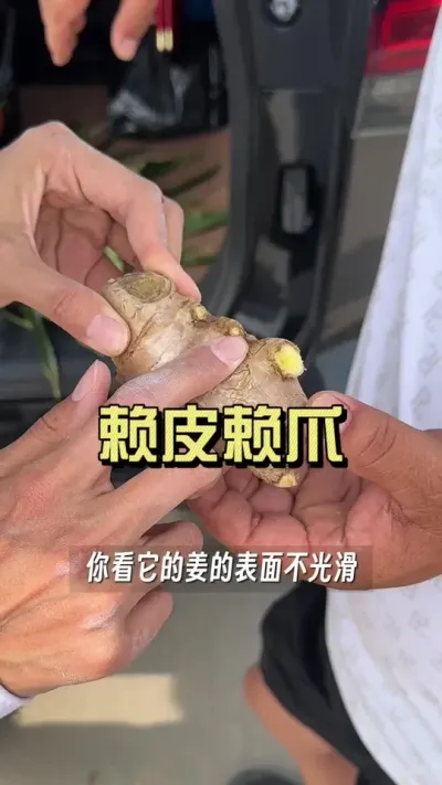 小培前咱们一定要预防一次线虫，特别是今年高温+姜种问题多，线虫赖皮非常普遍，想要卖一份好价，这块一定要重视起来！#新农人计划2025 #大姜种植 #来抖音学农技 #乡村守护人