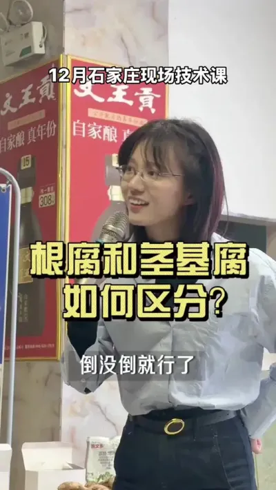 根腐病和茎基腐病，有什么简单的区分方法吗？#新农人计划2024 #乡村生活家 #大姜种植 #来抖音学农技