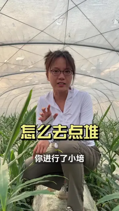 铁铁们先别着急小培！小培前还有一项工作很重要&hellip;&hellip;#新农人计划2025 #乡村守护人 #大姜种植 #来抖音学农技