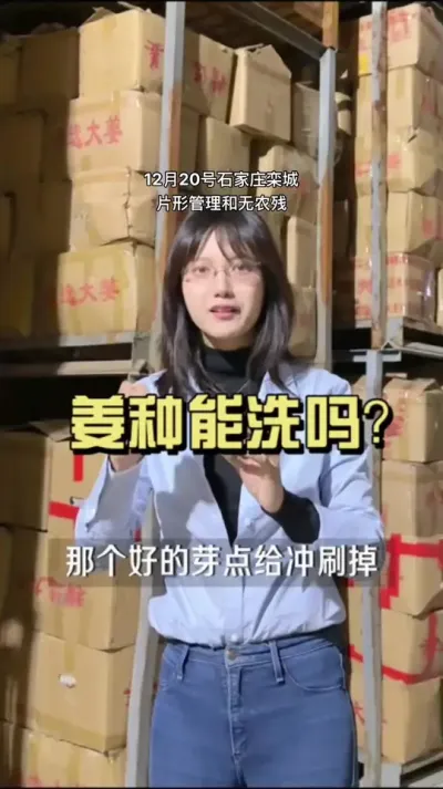 姜种能洗吗？怎么保证姜种的出成率？#乡村生活家 #新农人计划2024 #大姜种植 #来抖音学农技