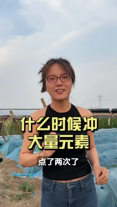 什么时候冲大量元素？冲施时应该注意什么？#新农人计划2025 #乡村守护人 #大姜种植 #来抖音学农技