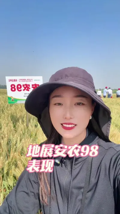 地展会安农98表现 安徽省农业科学院出的品种，抗性这一块确实不错，看过五月中旬它的两个地块，都没发现白粉和条绣，而且穗头也很漂亮，希望大家能选到一个合适的品种，丰产丰收！#支持三农扶持三农发展 #抖音