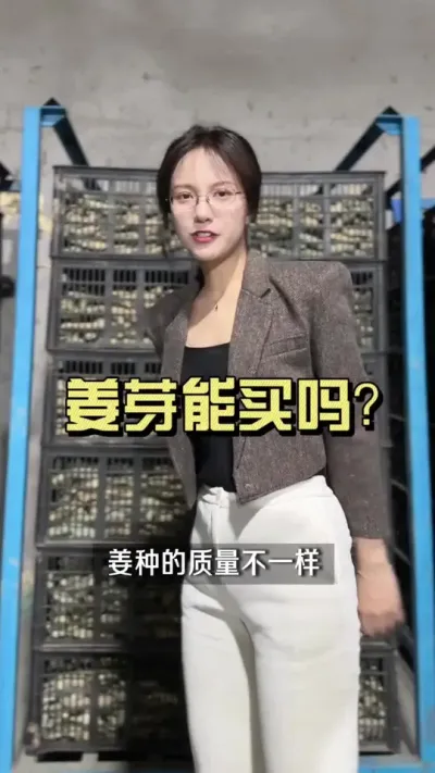 能不能买催好的姜芽？自己催和买催好的有什么区别吗？#新农人计划2024 #乡村生活家 #大姜种植 #来抖音学农技