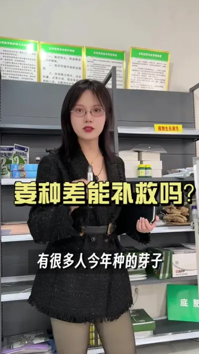 苗出来了挖出来却没有根？#新农人计划2025 #抖音助农扶农 #大姜种植 #乡村生活家 #来抖音学农技