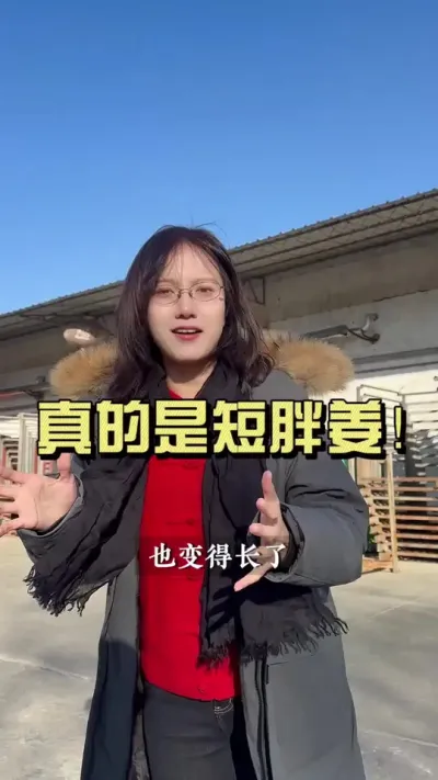 姜种还剩不多，欢迎随时来挑箱！#新农人计划2025 #抖音助农扶农 #乡村生活家 #大姜种植