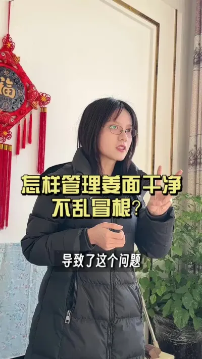 你的姜表面上有没有这种大肉根？#新农人计划2026 #来抖音学农技 #乡村守护人 #大姜种植