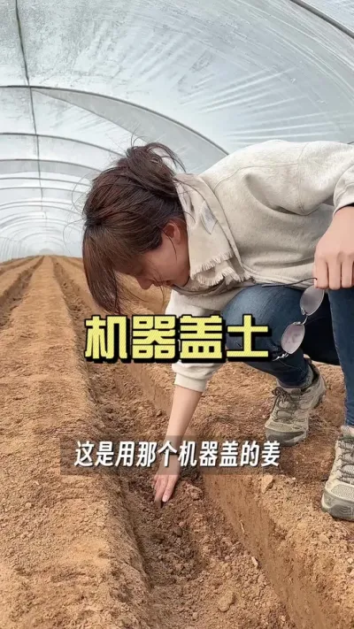 机器盖姜沟竟然出了这个事&hellip;&hellip;#大姜种植 #乡村生活家 #抖音助农扶农 #新农人计划2025