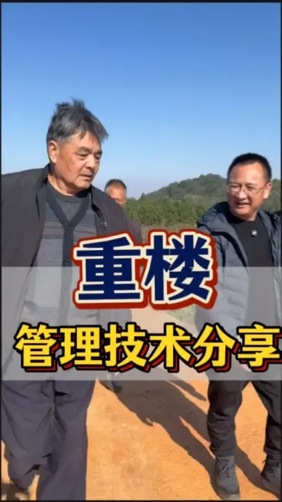 重楼 重楼种植，培土很重要，盖一层松毛也很重要，看发哥视频，学种植管理技术。#农业 #三农 #重楼 #重楼种植 #培土